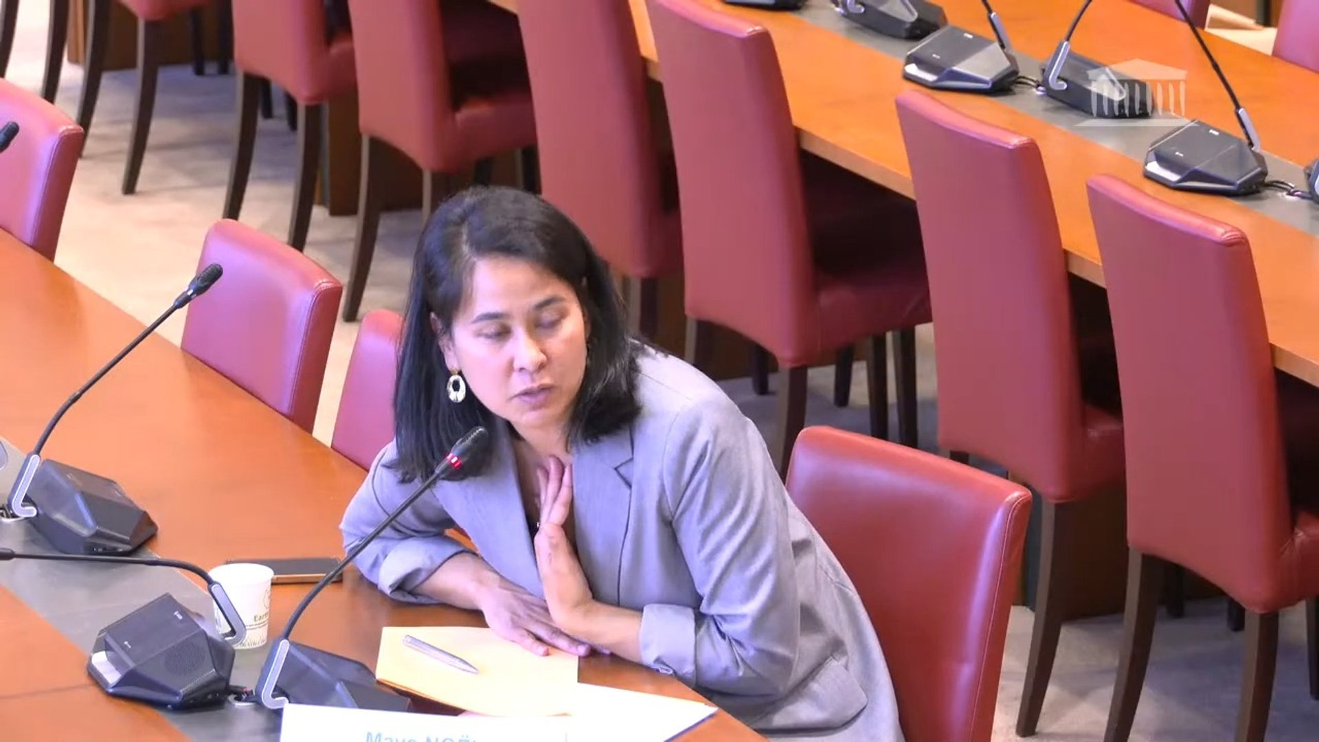 Maya Noël, directrice générale de France Digitale, devant la commission d'enquête
